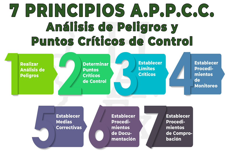 7 Principios A.P.P.C.C. Higiene Alimentaria en Badajoz - Servicio Implantación Sistema de Análisis de Peligros y Puntos Críticos de Control